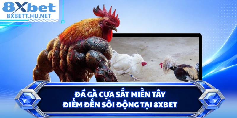 Đá Gà Cựa Sắt Miền Tây - Điểm Đến Sôi Động Tại 8XBET