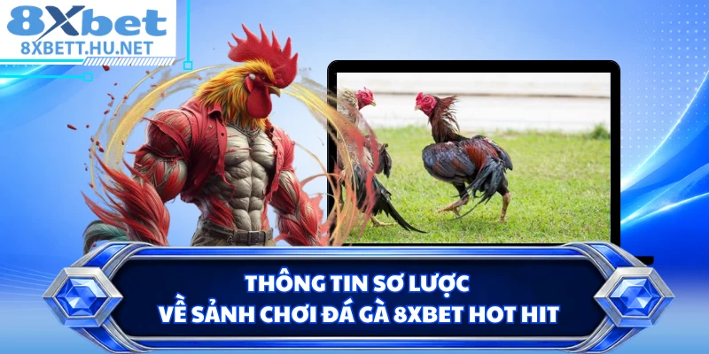 Thông tin sơ lược về sảnh chơi đá gà 8XBET hot hit